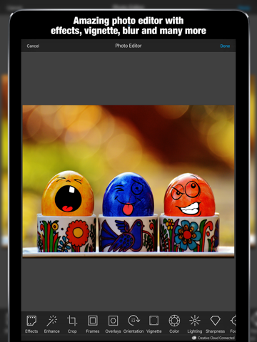 EasterPic Happy Easter Photo Editing - Add artwork, text and sticker over picture. Hand picked & hi-res design elements iPad screenshot 4 - Photo & Video app