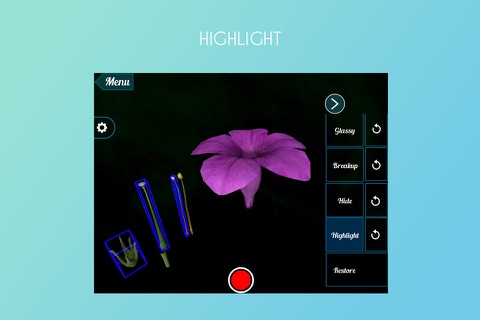 Virutla Reality(VR) Petunia Flower screenshot 3