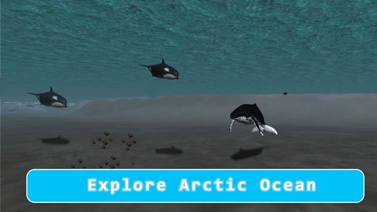 Orca Killer Whale Survival Simulator 3D Full - Play as orca, big ocean predator! screenshot-3