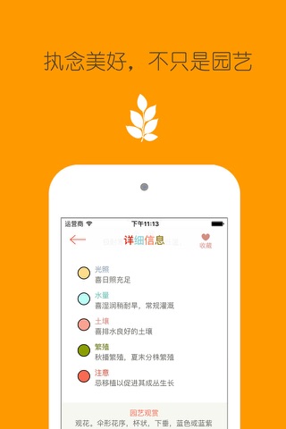 花之谷 screenshot 3