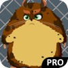 Wash Pet: Lovely Hamster Pro