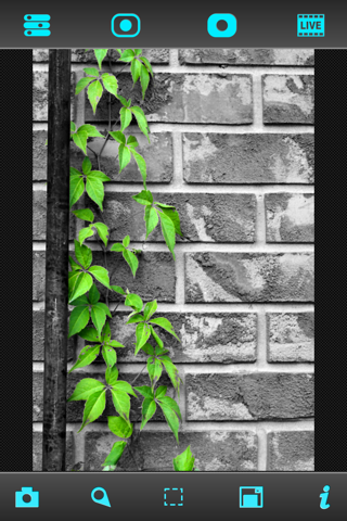 LiveSplash™ Plus - Hardcore Selective Coloring Application screenshot 4