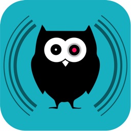 Motion sensor - motion detecting, hidden camera, video surveillance.