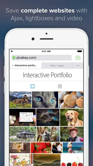 Скриншот Offline Pages Pro на iPhone 1