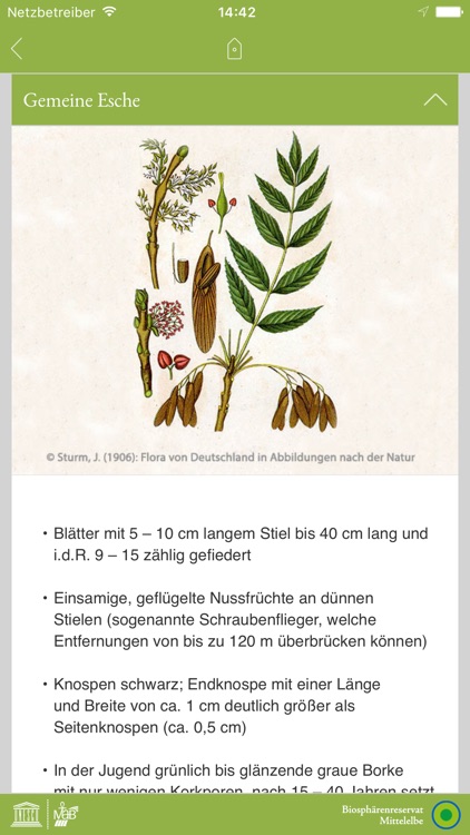 Biosphärenreservat Elbe