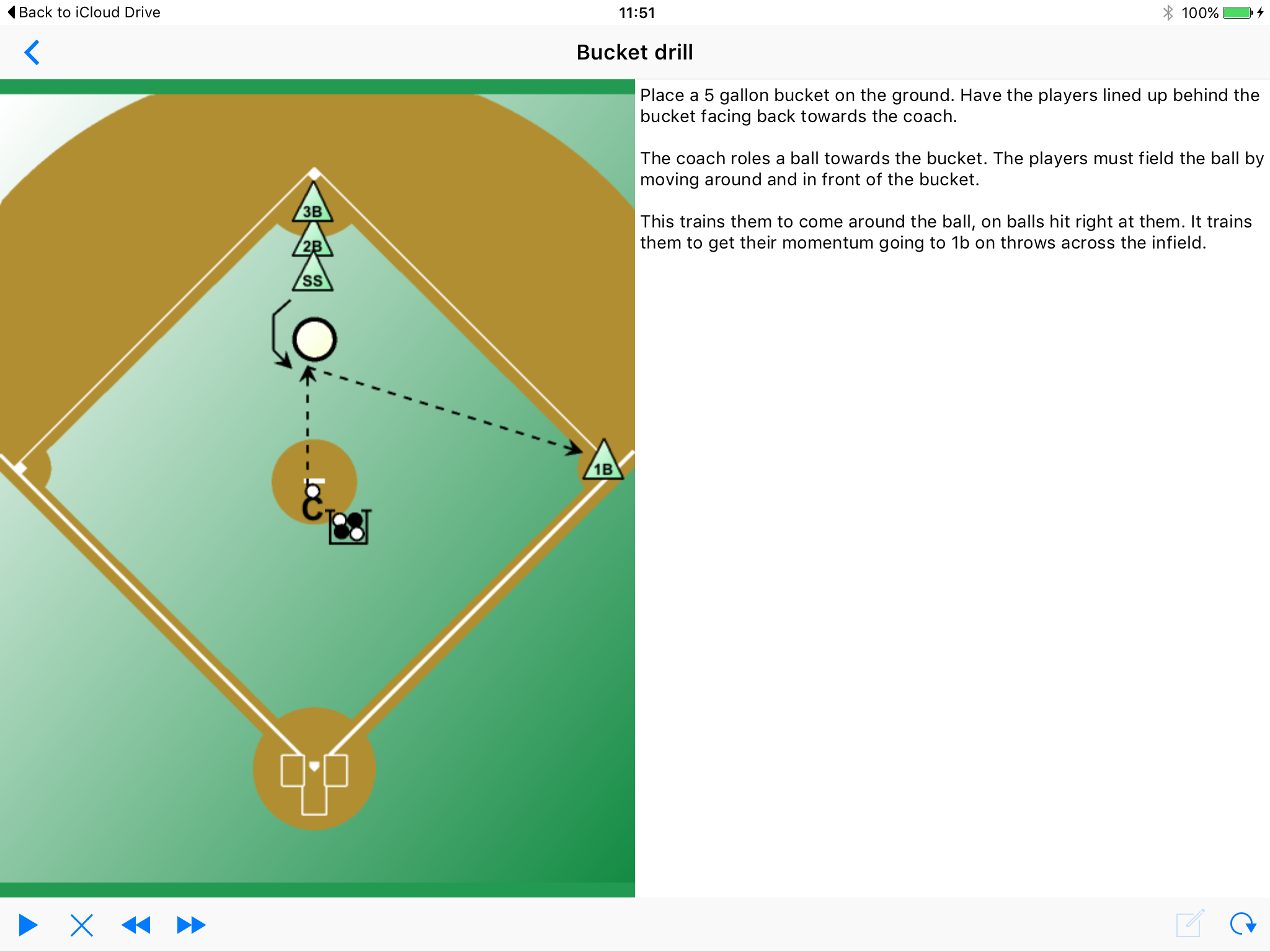 Baseball Playview