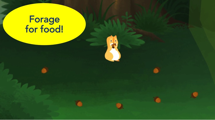 Piiig Forest Explorer: Natural Science for Kids screenshot-3