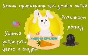 Умный кролик – обучающая логическая игра для малышей айфон картинки 1