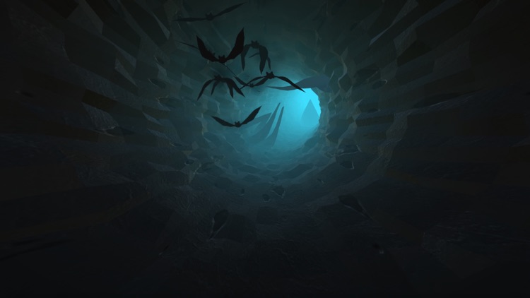 Bat Pool - Endless Tunnel screenshot-3