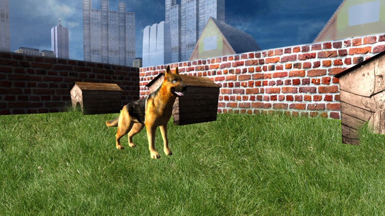 Crazy Horse Animal Transport - Deliver Horse & Dog In Transporter Truck screenshot-3