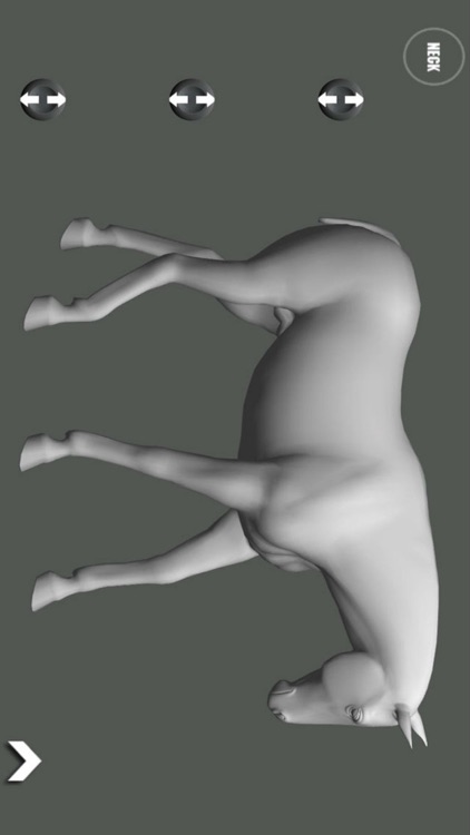 Horse Pose Tool screenshot-4