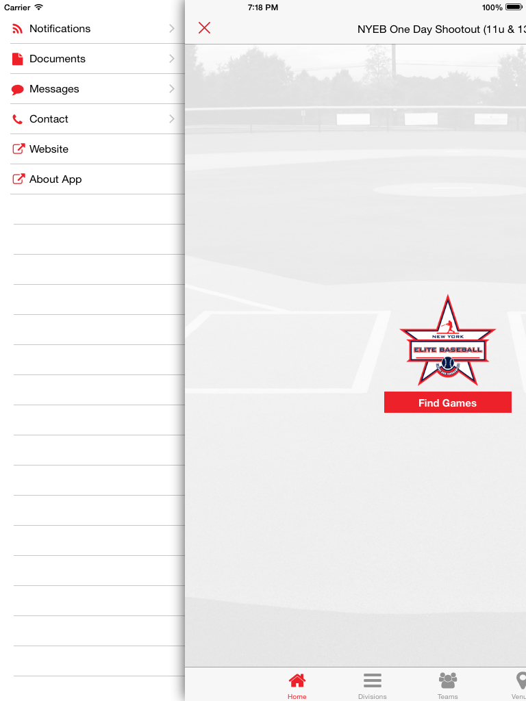 New York Elite Baseball screenshot 6