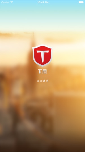 T盾