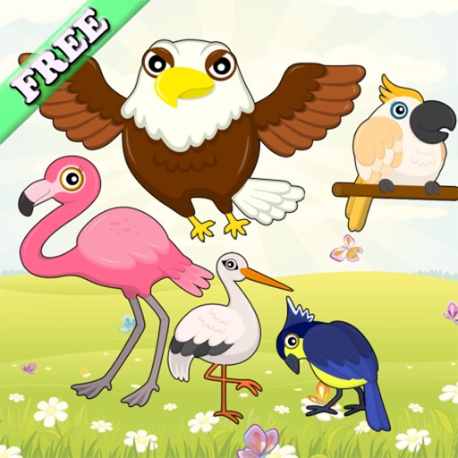 Flying Birds Match Games for Toddlers and Kids : discover the bird species ! FREE app iOS App