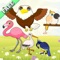 Flying Birds Match Games for Toddlers and Kids : discover the bird species ! FREE app