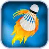 3D Badminton Game Smash Championship. Best Badminton Game. App Delete