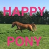 Happy Pony by Horse Reader