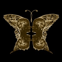 Nevermind - Heart Rate Companion pour PC