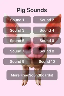Game screenshot Pig Sounds mod apk