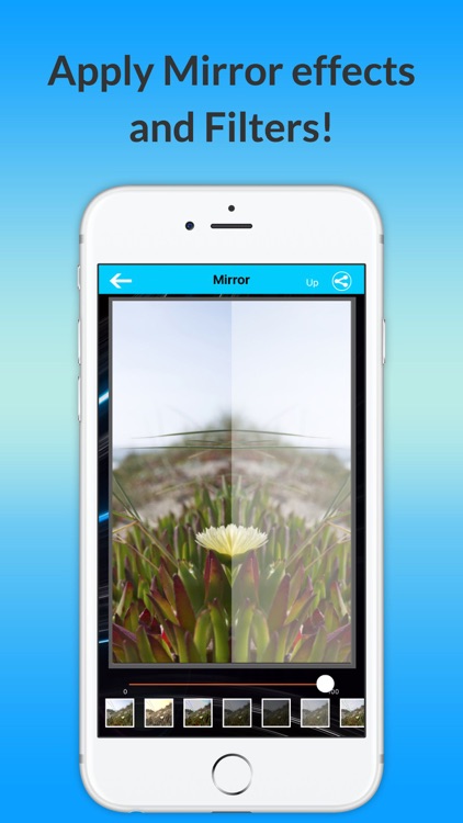 Photo Mirror-free
