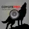 REAL Coyote Hunting Calls-Coyote Calling-Predators anmeldelser