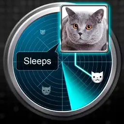 Radar What Makes Cat Joke app icon