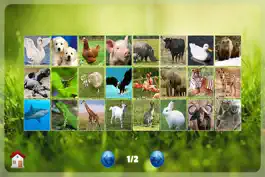Game screenshot Belajar Membaca Binatang apk