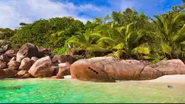 Game screenshot Deserted Island Escape 2 mod apk