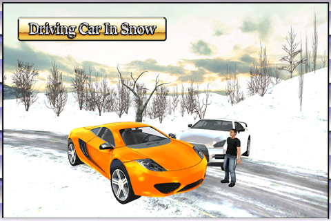 Car Driving 3D : Free Snow Hill Landscape Simulator 2016 screenshot 2