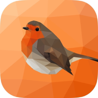 Nature Sounds Zen Sounds for Relax Focus and Sleep