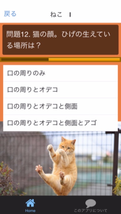 Screenshot #2 pour ネコクイズにゃん