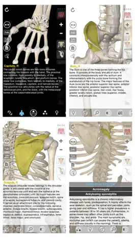 Game screenshot 3D Organon Anatomy - Skeleton, Bones, and Ligaments apk