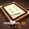 Crazy Pool 3D Lite