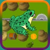 Road Cross Frog 3D: Endless Arcade Game