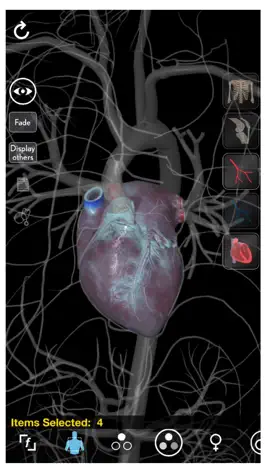 Game screenshot 3D Organon Anatomy - Heart, Arteries, and Veins hack