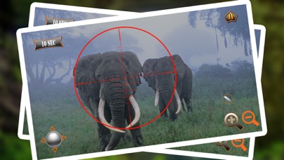Jungle Animal Hunter Strike screenshot 5