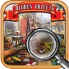 The Special Day Adventure - Hidden Objects