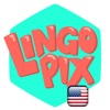 LingoPix English