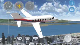 Game screenshot Airplane Seattle apk