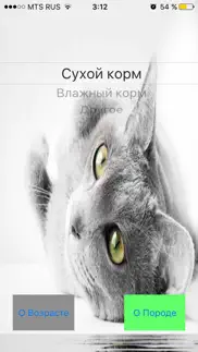 кошачий калькулятор айфон картинки 2