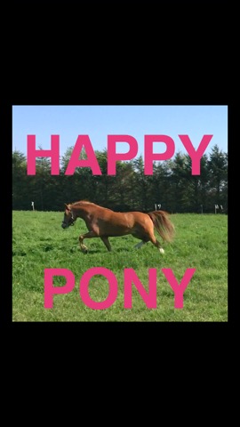 Happy Pony for iPhone by Horse Readerのおすすめ画像1