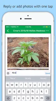 oz stoners cannabis community iphone screenshot 3