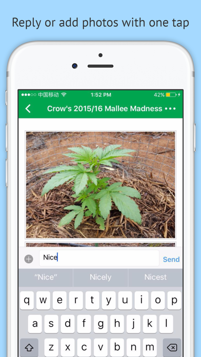 Screenshot #3 pour OZ Stoners Cannabis Community