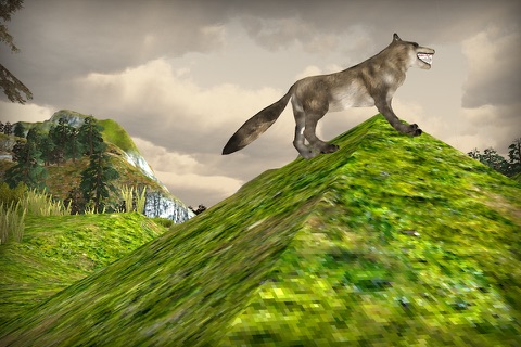 Angry Wolf Attack Simulator 3D - Wild Safari Animals Survival Game screenshot 4