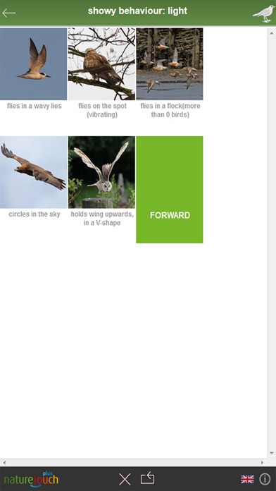 Identify 500 birds, naturetouch Screenshot