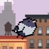 The Fattest Bird in Brooklyn