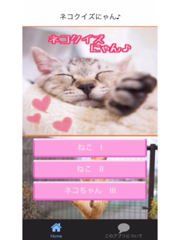 Screenshot #4 pour ネコクイズにゃん