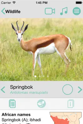 Game screenshot Sasol Wildlife for Beginners (Lite): Quick facts, photos and videos of 46 southern African animals hack