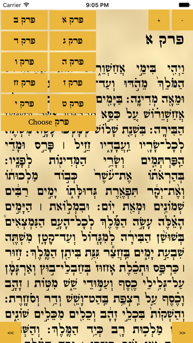 Screenshot #2 pour Megillah, Tikkun Korim