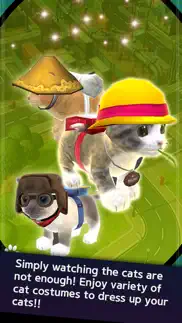 hero cats problems & solutions and troubleshooting guide - 1